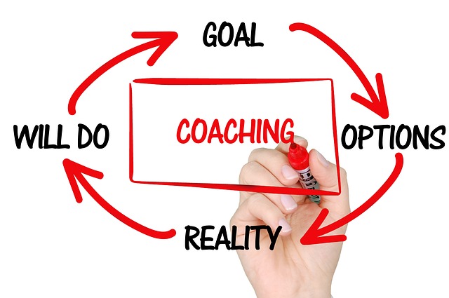 crea consul coaching